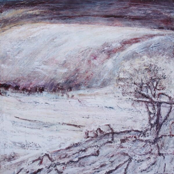 Sally Farrell paintings at the Tin Shed Gallery, Isle of Mull